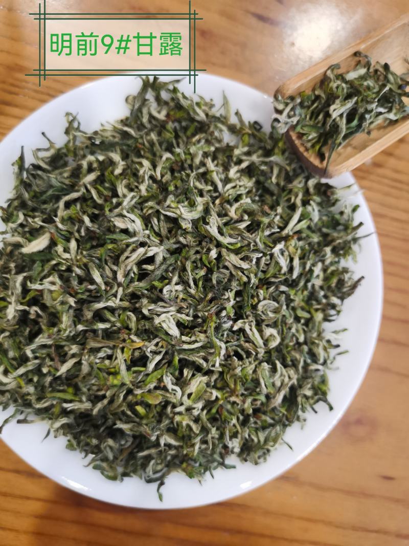 正宗雅安蒙顶山茶高山茶明前特级绿茶三款甘露