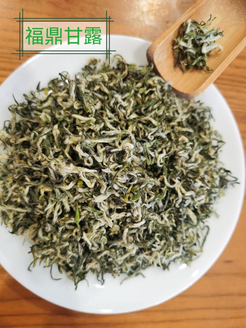 正宗雅安蒙顶山茶高山茶明前特级绿茶三款甘露