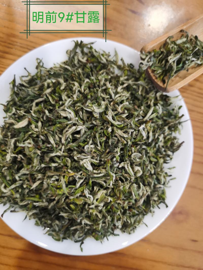 正宗雅安蒙顶山茶高山茶明前特级绿茶三款甘露