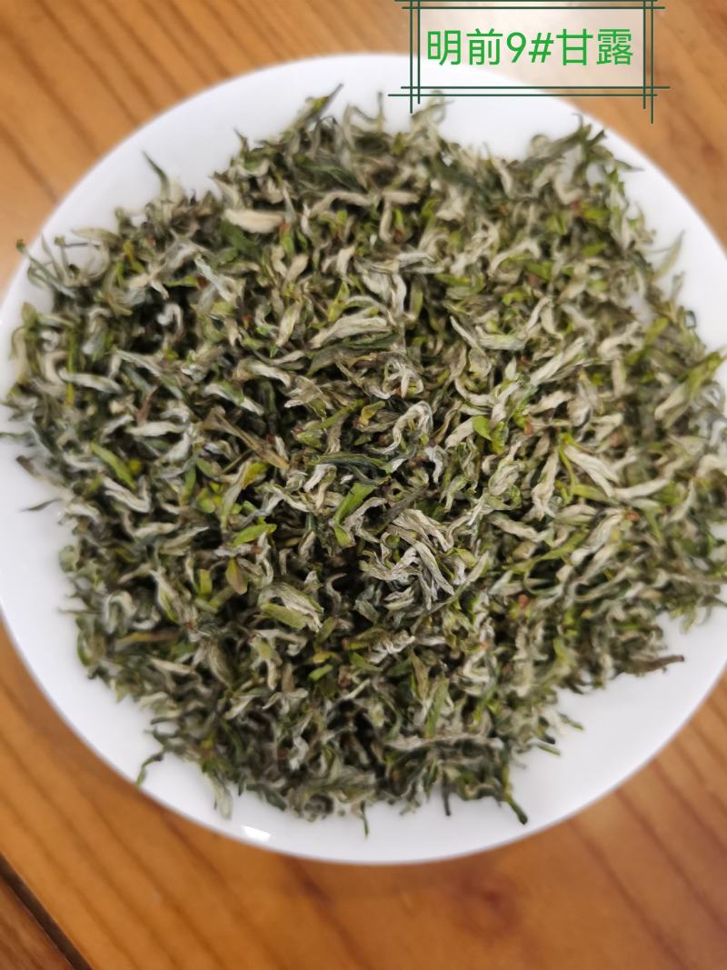 正宗雅安蒙顶山茶高山茶明前特级绿茶三款甘露