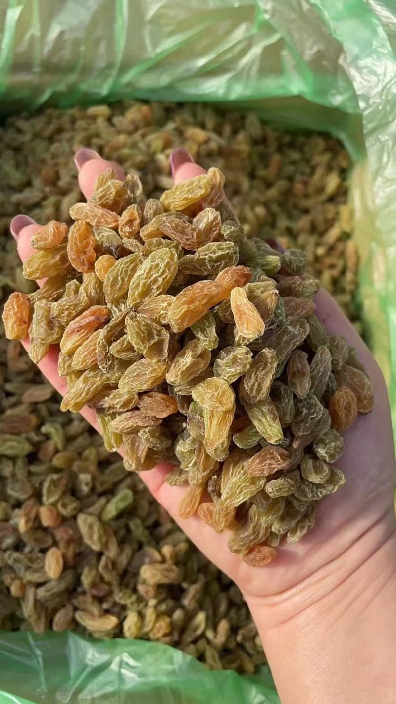 葡萄干新疆葡萄干电商用葡萄干厂家货源低价供应颜色好