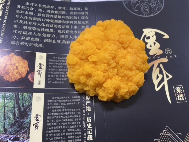 金耳