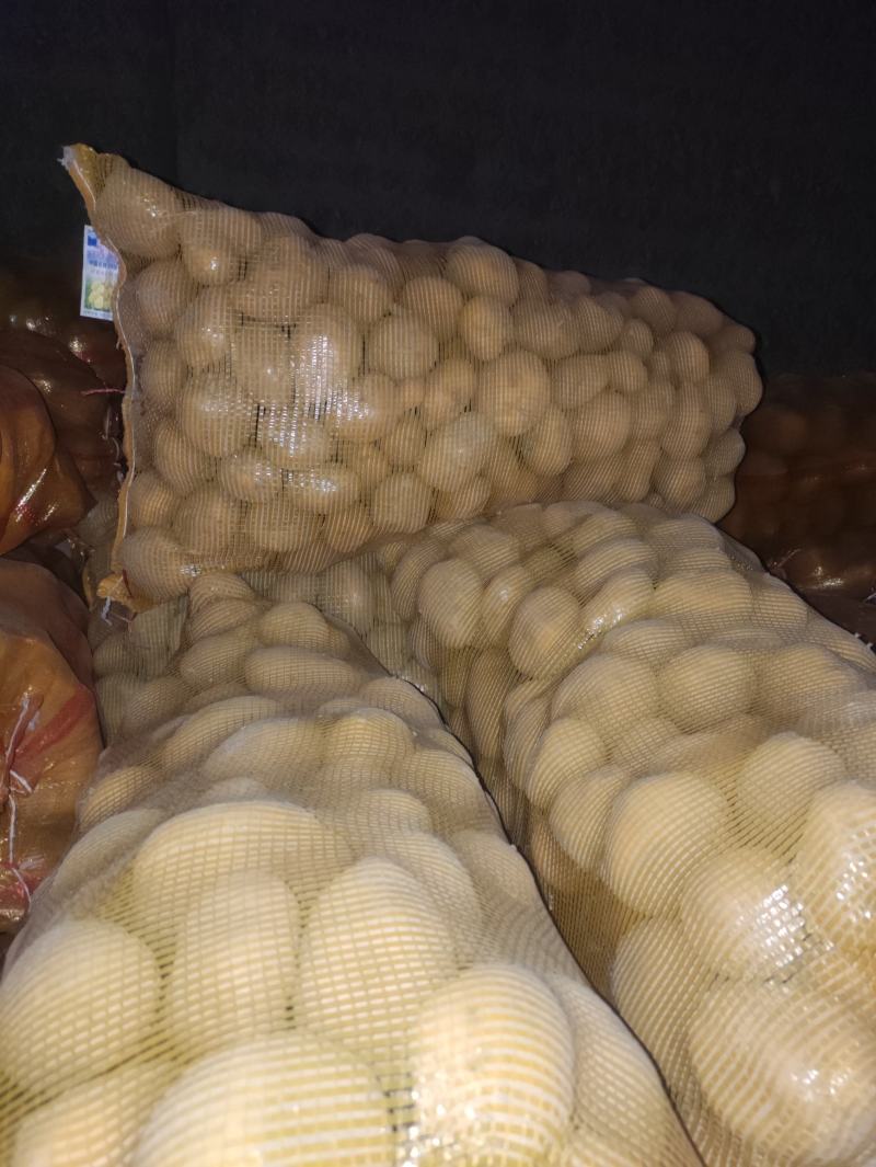陇薯七号土豆大量有货新鲜度好量大从优