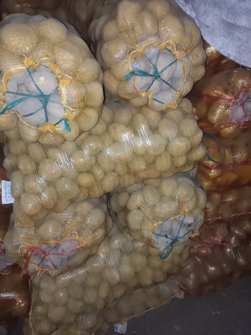 陇薯七号土豆大量有货新鲜度好量大从优