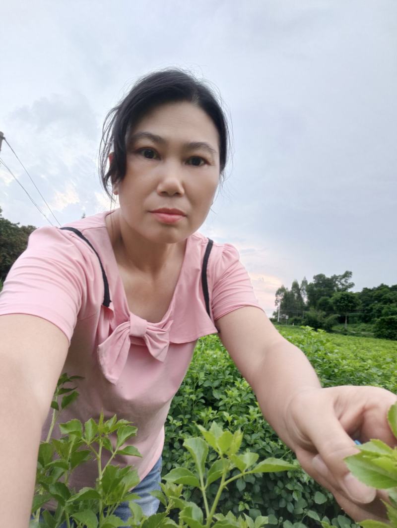 山野菜