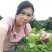 山野菜