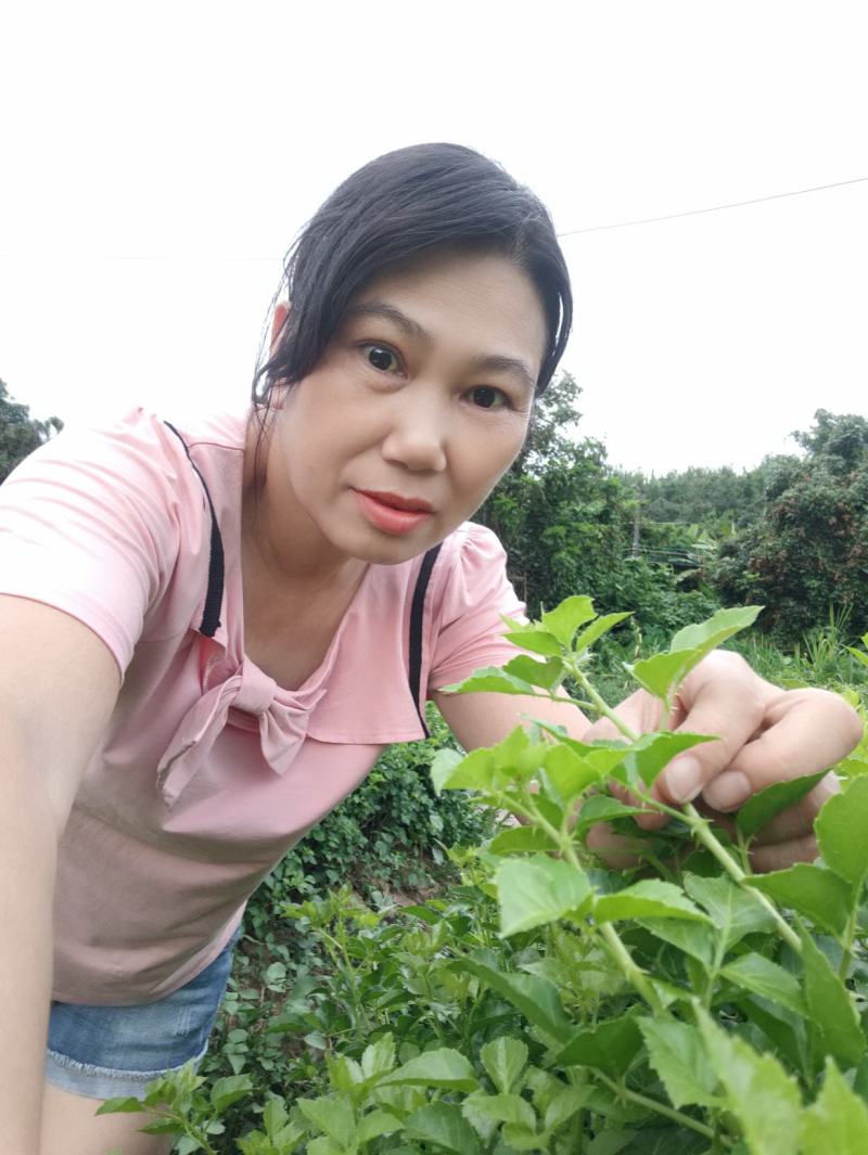 山野菜