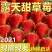 草莓黄瓜番茄西兰花生菜大蒜大麦