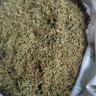 (热销）贵州金银花产地服务最高尚买货质量保