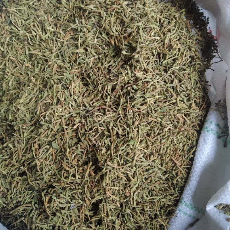 (热销）贵州金银花产地服务最高尚买货质量保