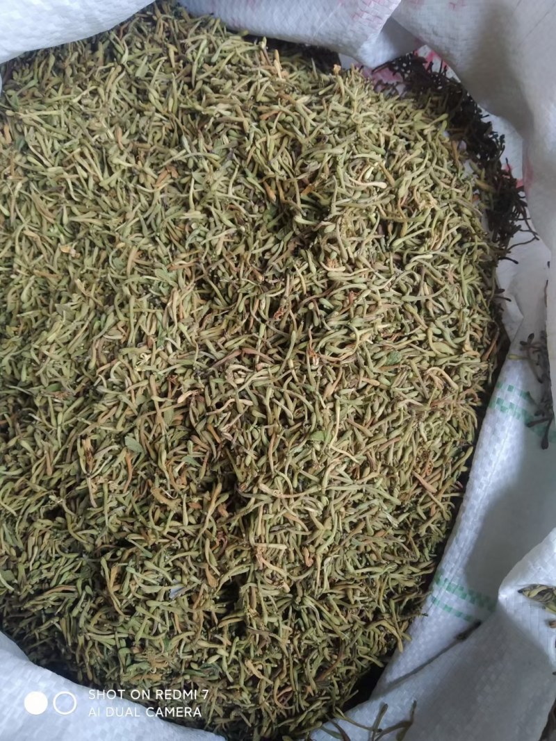 (热销）贵州金银花产地服务最高尚买货质量保