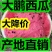 万亩大鹏甜王西瓜京欣，【包熟包甜】产地大降价，皮薄头岔