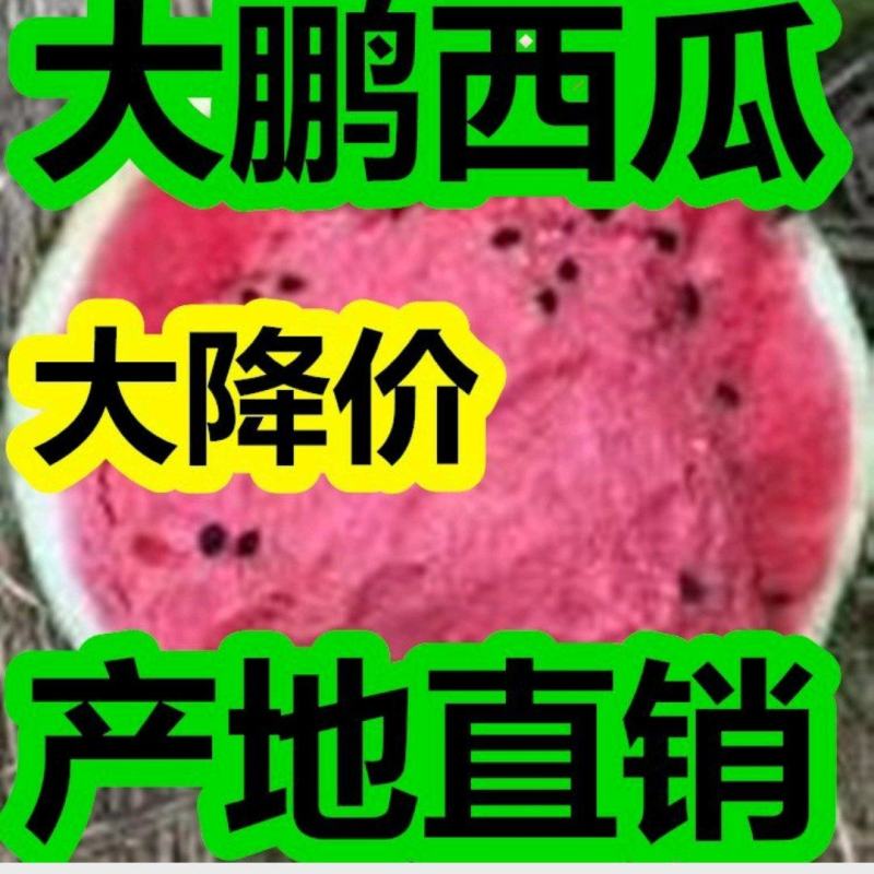 万亩大鹏甜王西瓜京欣，【包熟包甜】产地大降价，皮薄头岔