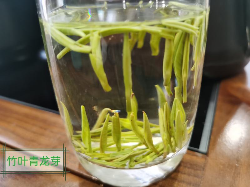 2022年正宗川茶三款竹青，高山明前绿茶