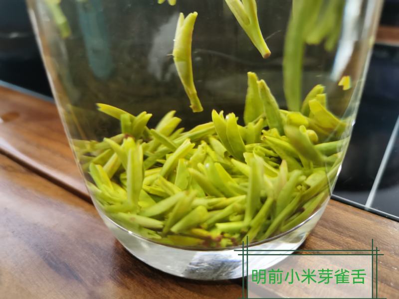 2022年正宗川茶三款竹青，高山明前绿茶