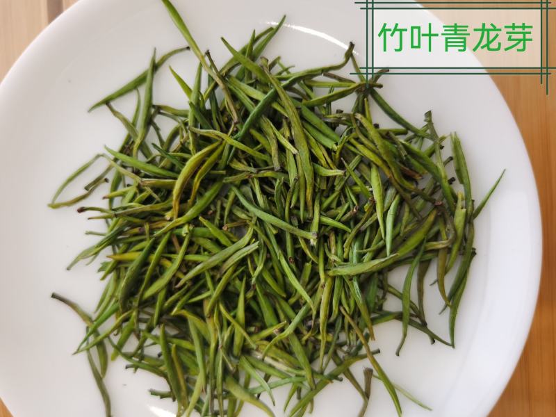 2022年正宗川茶三款竹青，高山明前绿茶