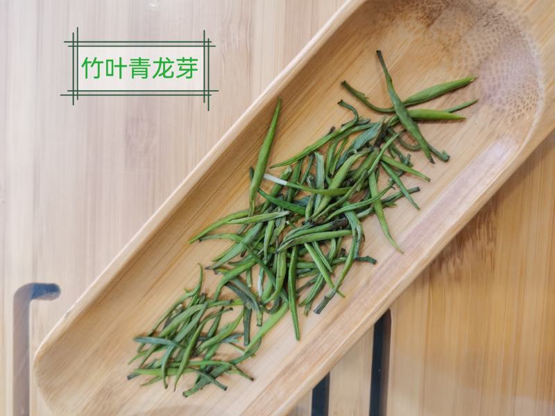 2022年正宗川茶三款竹青，高山明前绿茶