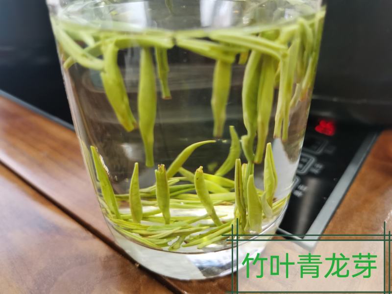 2022年正宗川茶三款竹青，高山明前绿茶