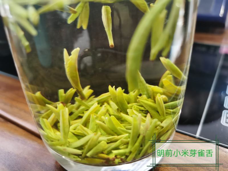 2022年正宗川茶三款竹青，高山明前绿茶
