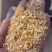 【热卖】烘干碎玉米用于饲料厂养殖厂降低成本，货源充足