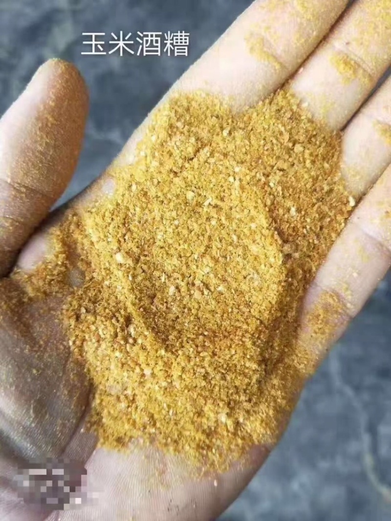 【热销】玉米酒糟DDGS适用于饲料厂添加，养殖场
