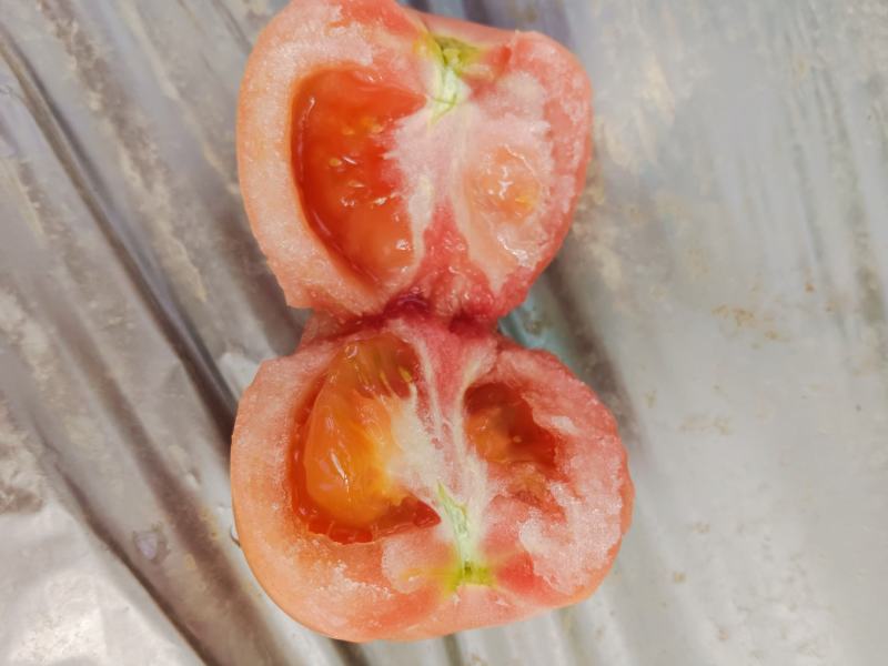 精品口感番茄粉果西红柿甜度高水分足水果类品种