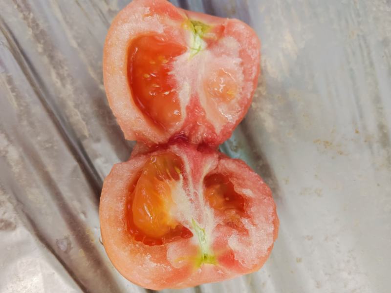 精品口感番茄粉果西红柿甜度高水分足水果类品种