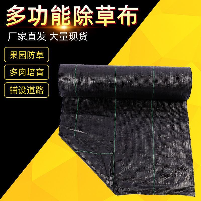农用加厚园艺防草布除草布地布耐用抗老化遮盖草果树园透气保