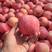 山东红富士苹果，精品红富士苹果，产地一手货源，批发苹果