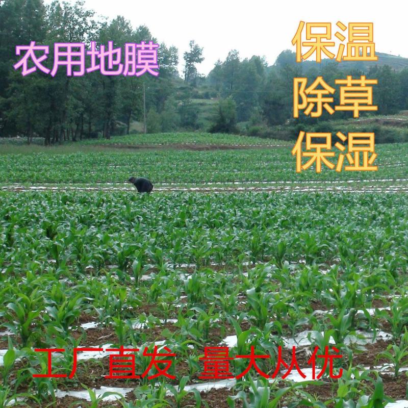 农用地膜黑膜蔬菜种植育苗除草防草加厚保温保湿黑色大棚塑料