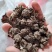 批发家种猫爪草中粒货，一手货源，诚信经营，感谢您的信任。