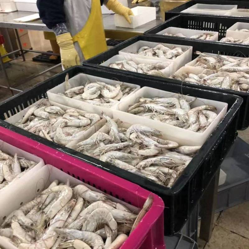 盐冻虾冷虾一箱6盒净重20.4斤货源充足，常年供应