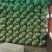 河北邯郸永年蔬菜基地