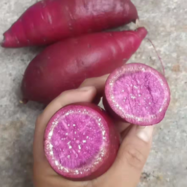 【万亩自销】紫薯紫罗兰红薯常年供应电商商超批发