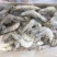 盐冻虾冷虾一箱6盒净重20.4斤货源充足，常年供应