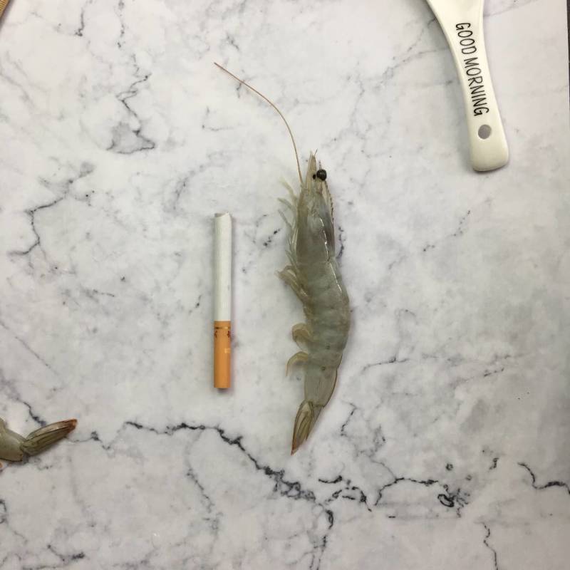 盐冻虾冷虾一箱6盒净重20.4斤货源充足，常年供应