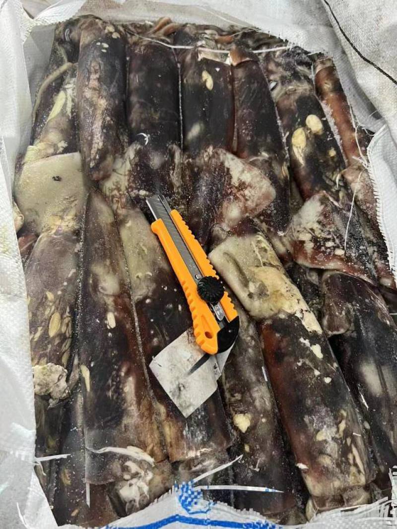 鱿鱼冷冻鱿鱼常年供应，货源充足，质量保障