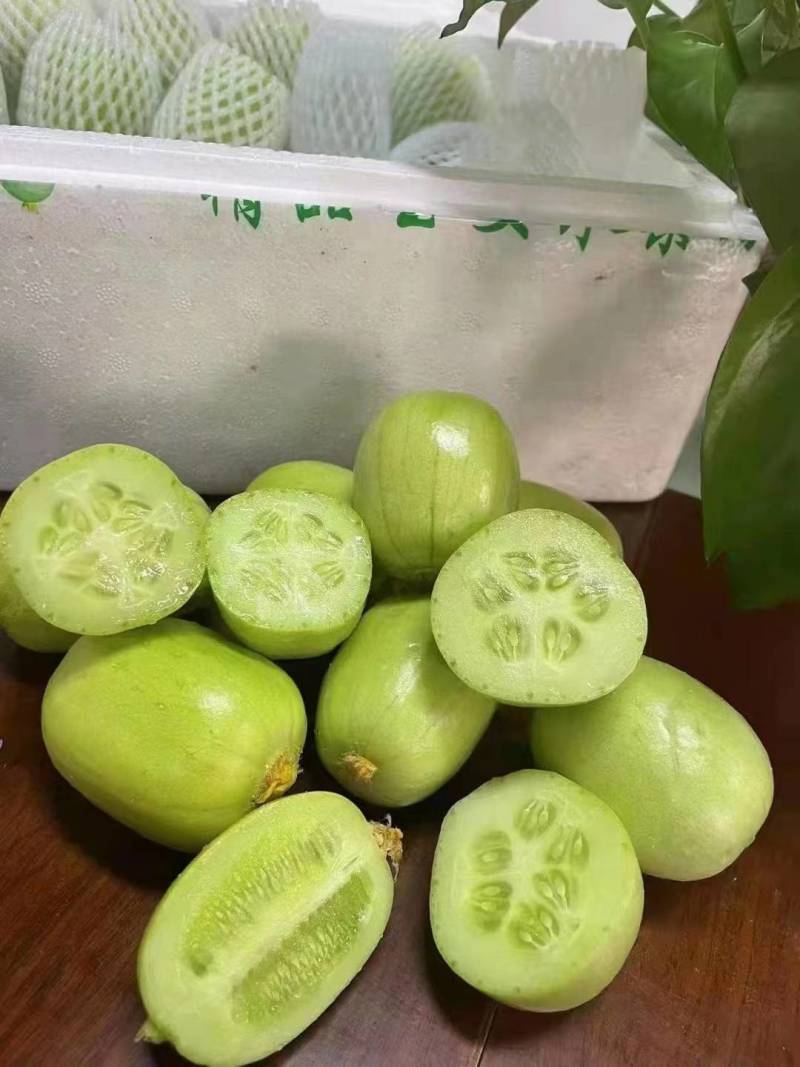 玉女黄瓜产地大量供应