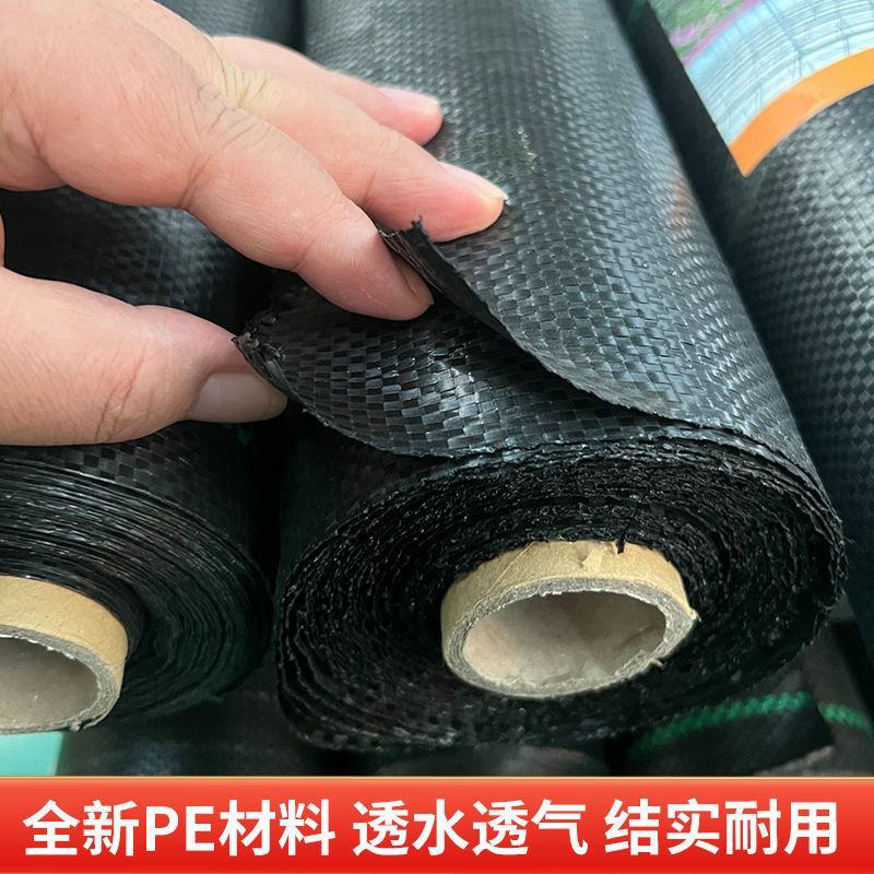 防草布农用除草布果园抗老化果树耐用地布透气保湿园艺地布遮
