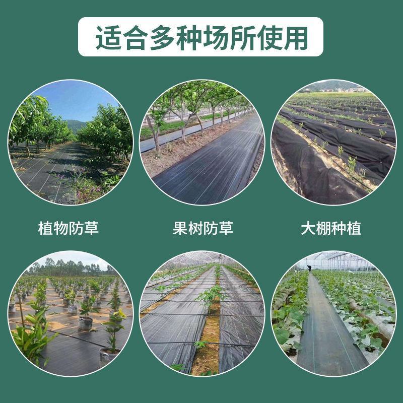 防草布农用除草布果园抗老化果树耐用地布透气保湿园艺地布遮