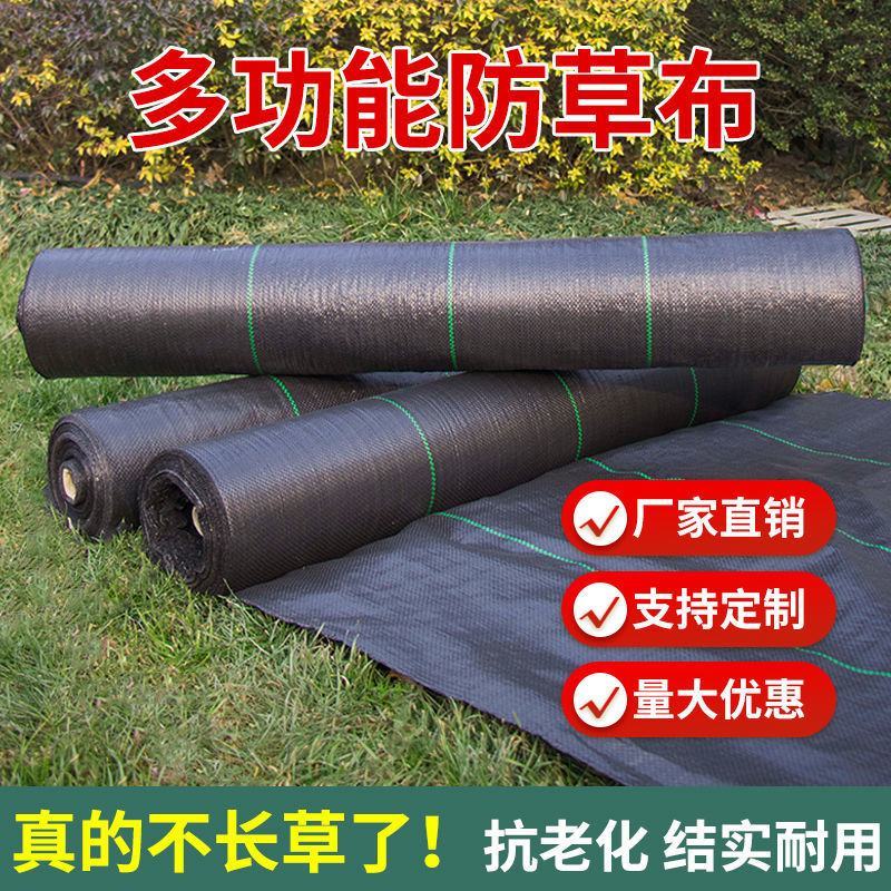 防草布农用除草布果园抗老化果树耐用地布透气保湿园艺地布遮