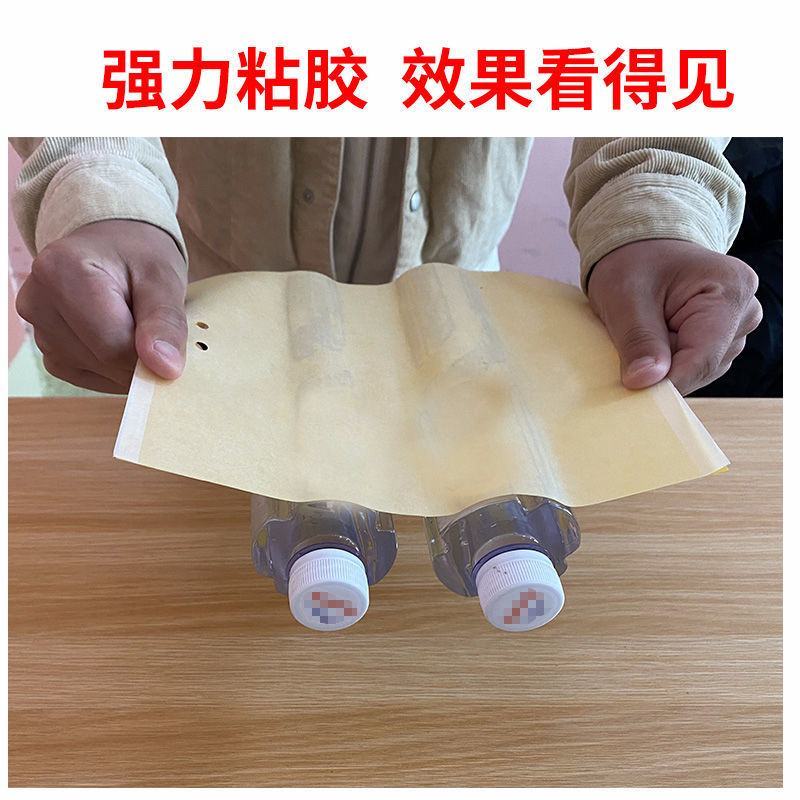 黄板双面粘虫板黄色蓝一体诱虫板大棚专用农用蓟马小黑飞虫果