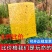 黄板双面粘虫板黄色蓝一体诱虫板大棚专用农用蓟马小黑飞虫果