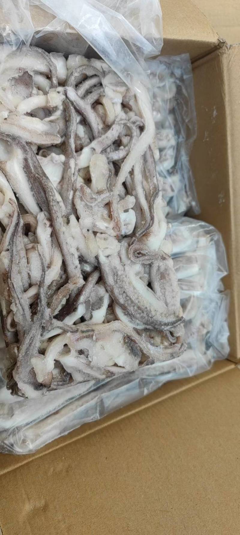 阿鱿鱿鱼须二本足源头发货全国发售，冷链直达
