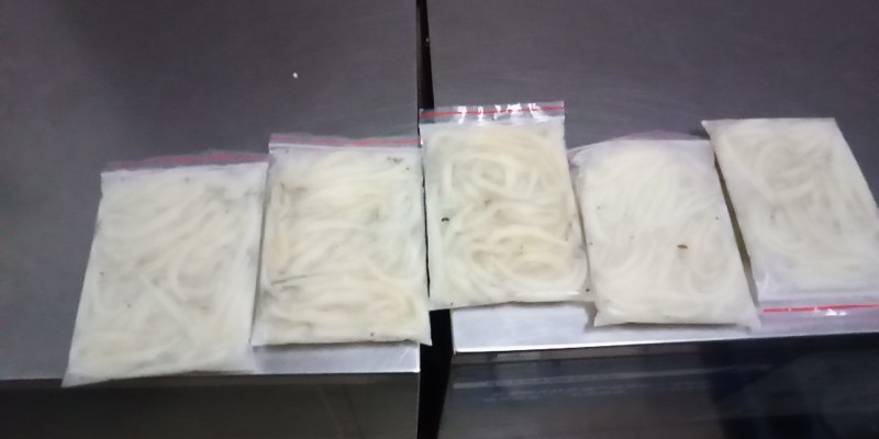 精品银鱼大量供应荷塘只发现捞现发物美价廉欢迎考察