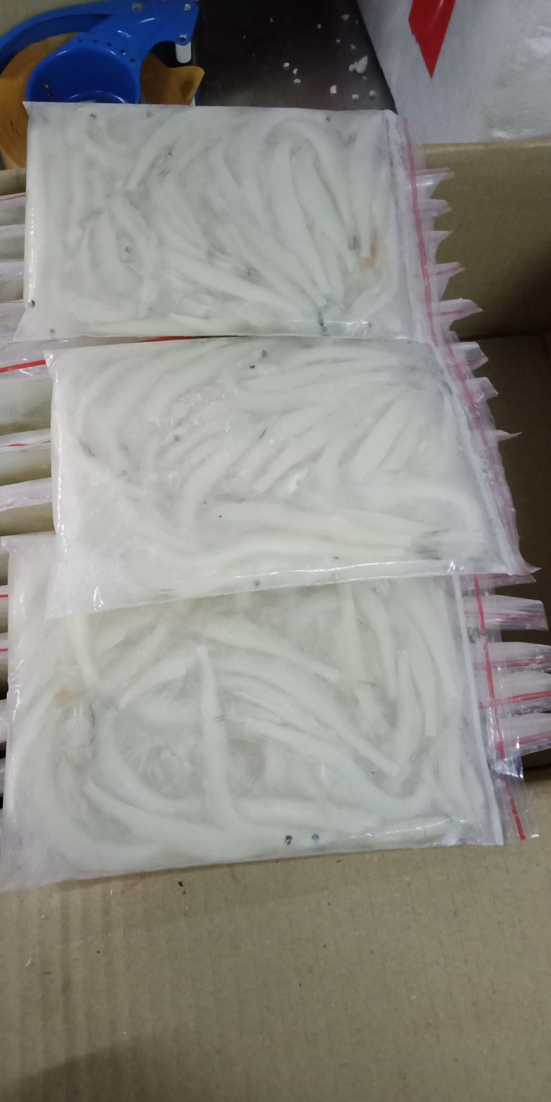 精品银鱼大量供应荷塘只发现捞现发物美价廉欢迎考察