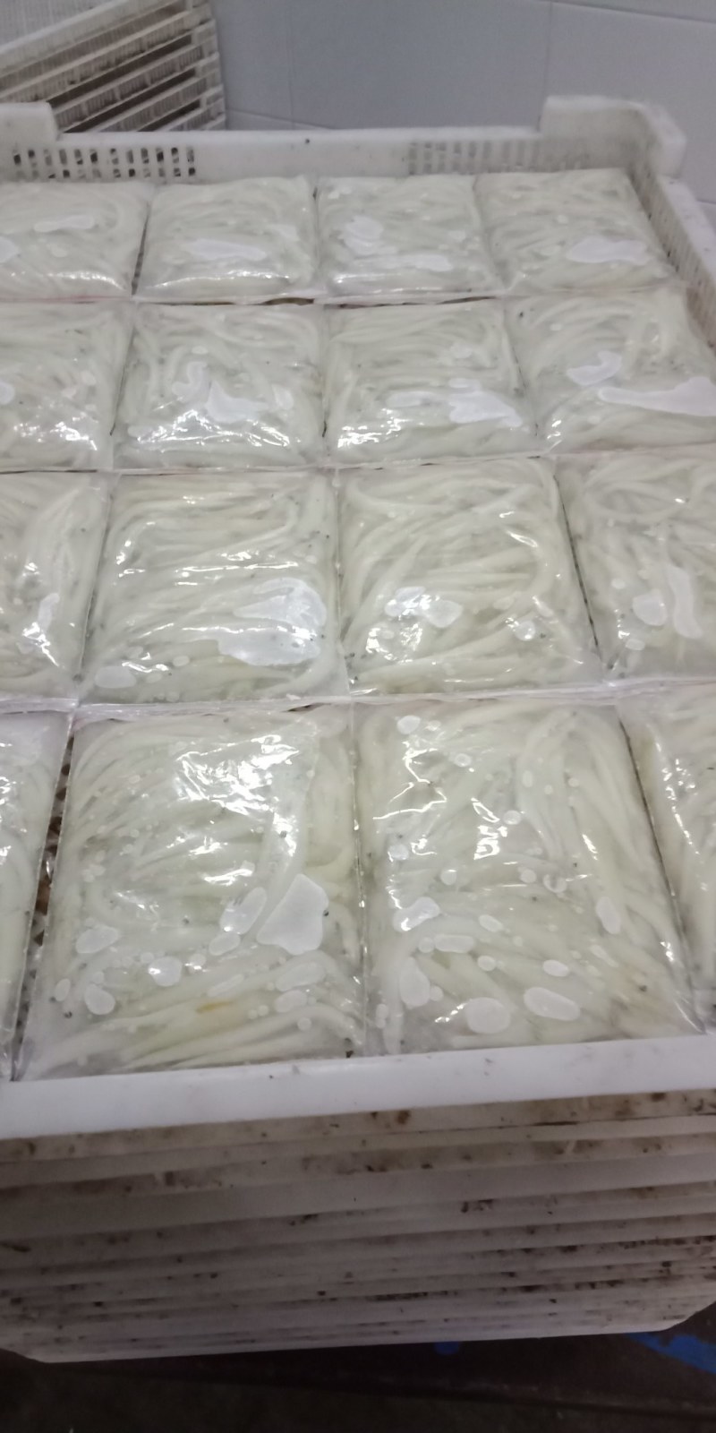 精品银鱼大量供应荷塘只发现捞现发物美价廉欢迎考察