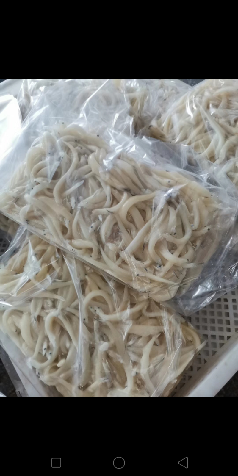 精品银鱼大量供应荷塘只发现捞现发物美价廉欢迎考察