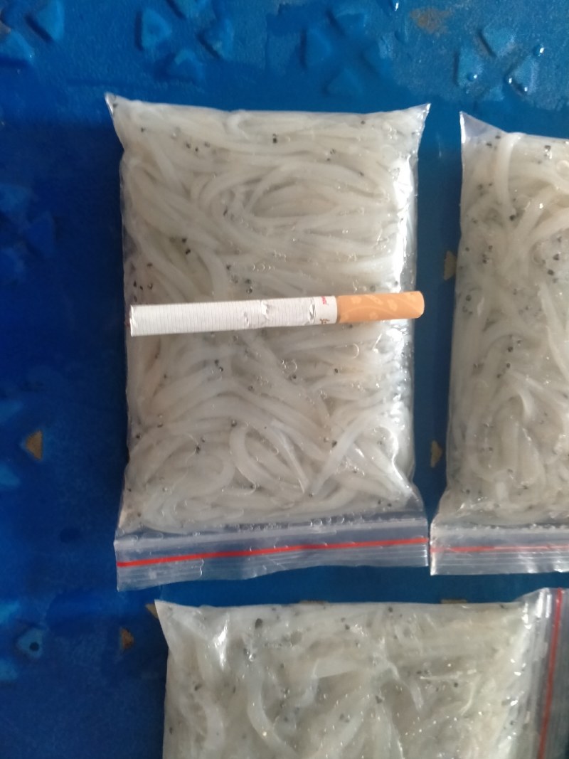 精品银鱼大量供应荷塘只发现捞现发物美价廉欢迎考察