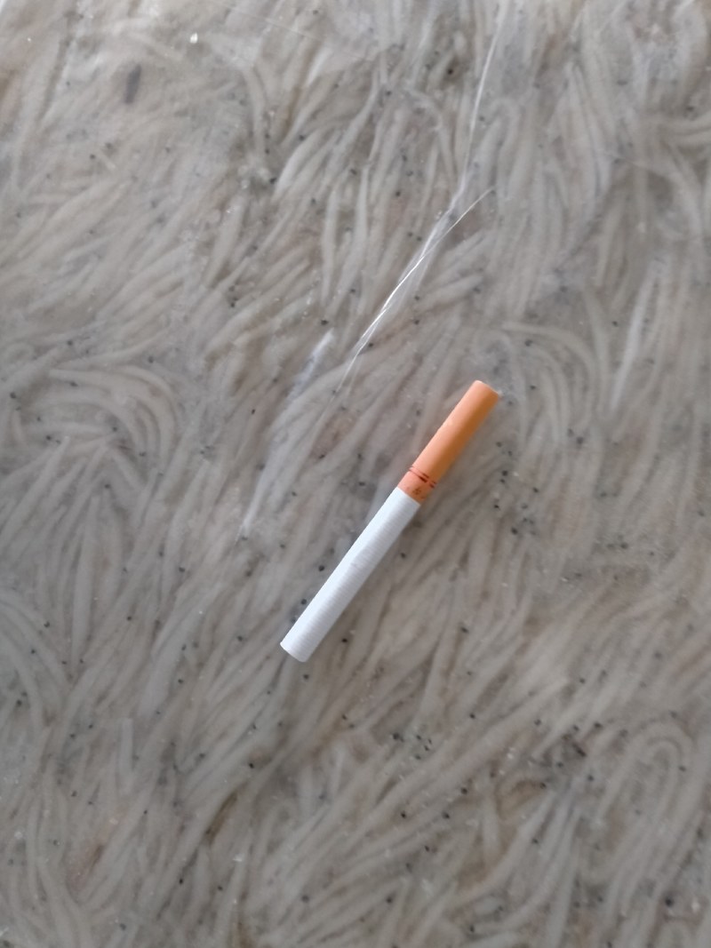 精品银鱼大量供应荷塘只发现捞现发物美价廉欢迎考察